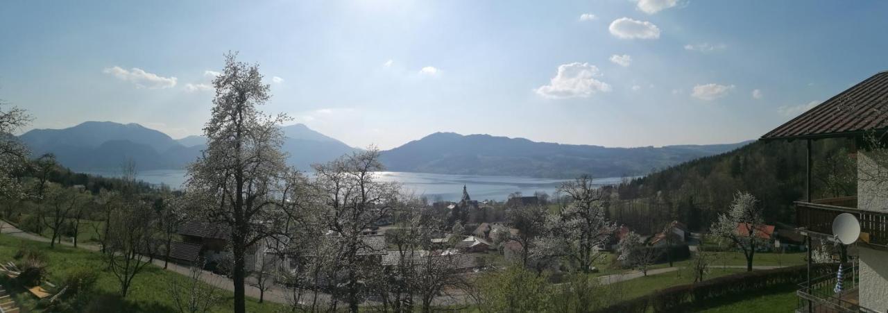 Attersee-Chalet Angermann Familie Spalt Steinbach am Attersee Eksteriør bilde