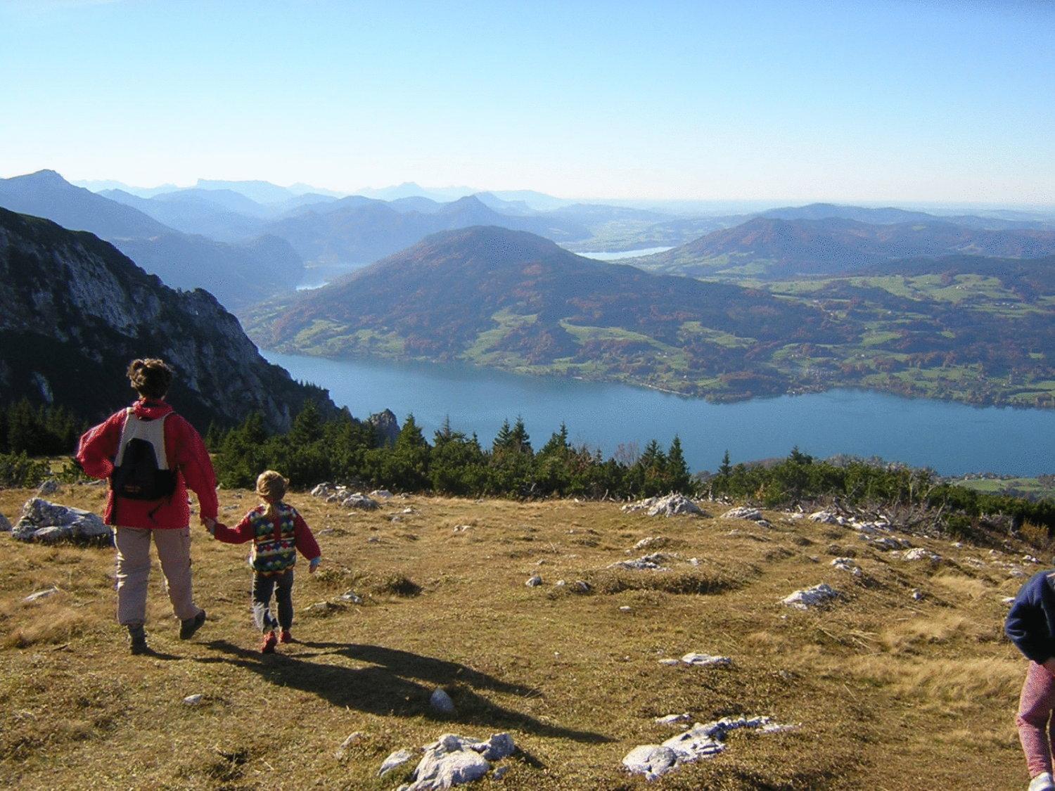 Attersee-Chalet Angermann Familie Spalt Steinbach am Attersee Eksteriør bilde