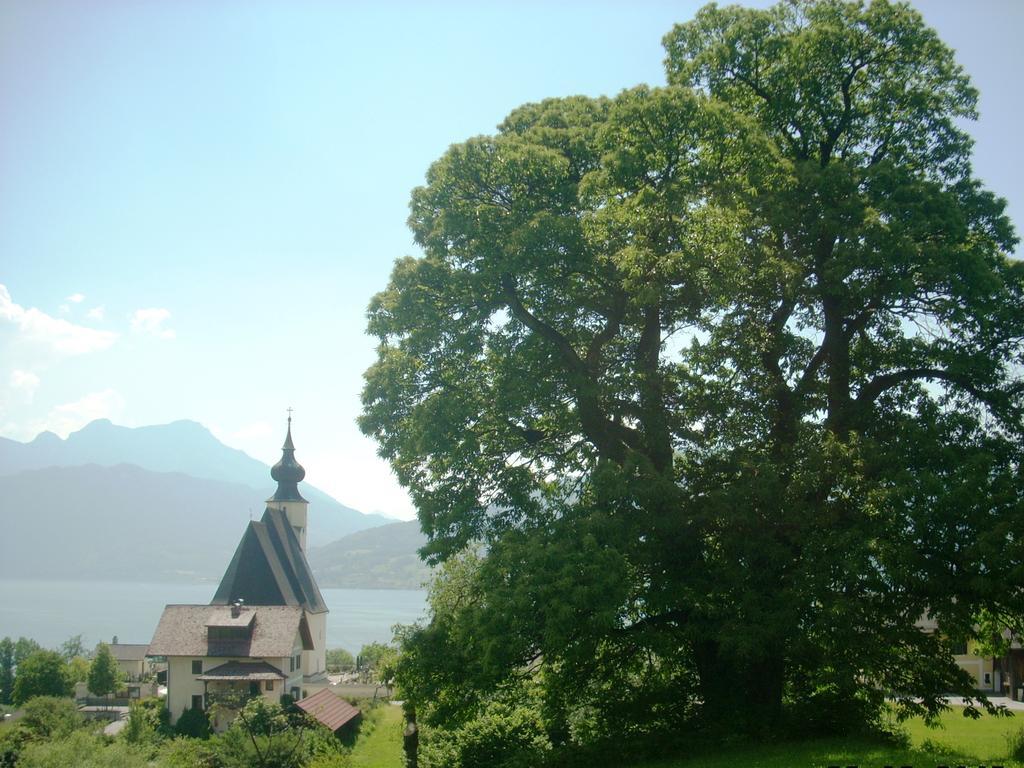 Attersee-Chalet Angermann Familie Spalt Steinbach am Attersee Eksteriør bilde